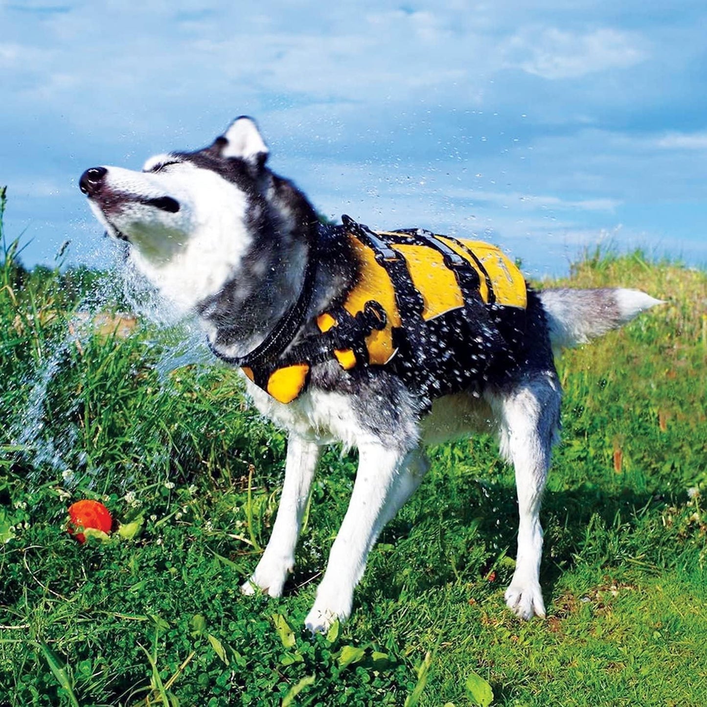 DFD Dog Life Jacket - Enhanced Safety Vest with 50% More Flotation, Adjustable Fit, Reflective Trim & Durable Grab Handle - X-Small, Red