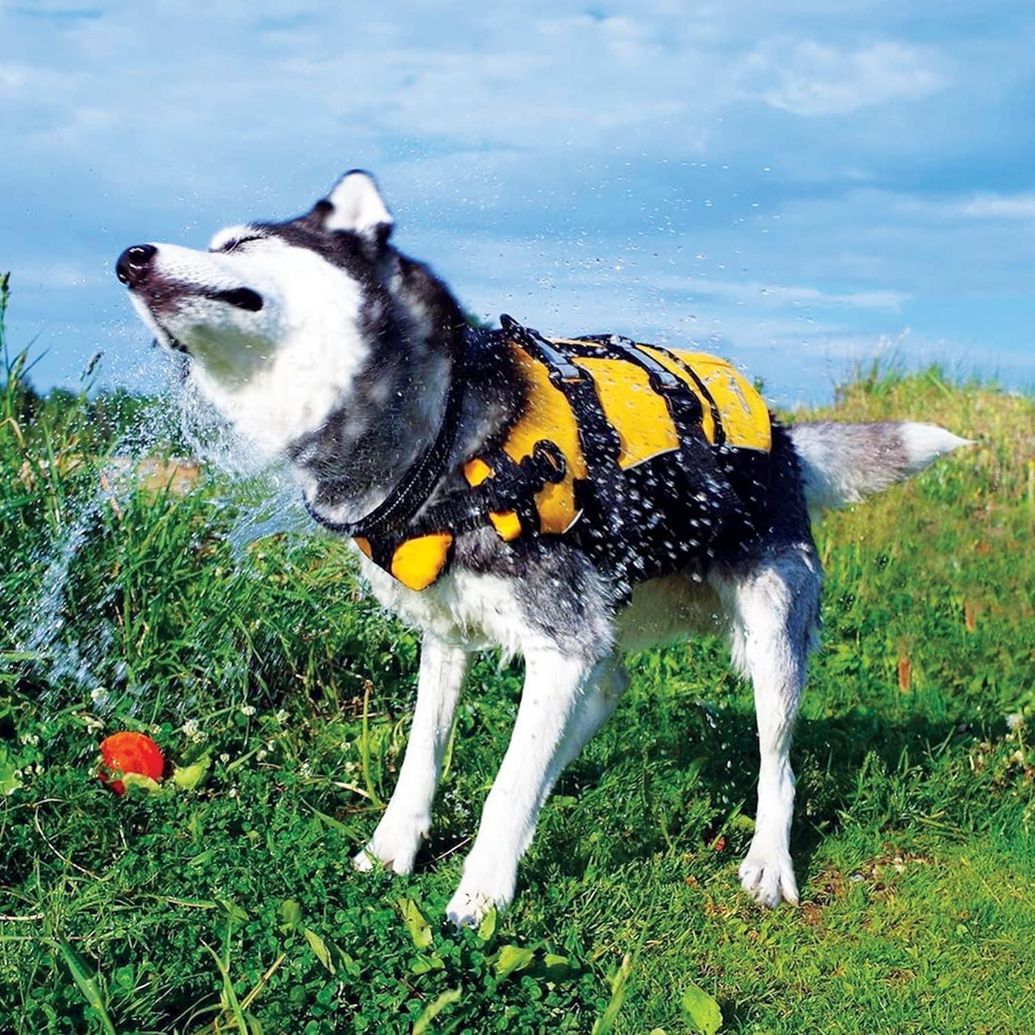 DFD Dog Life Jacket - Enhanced Safety Vest with 50% More Flotation, Adjustable Fit, Reflective Trim & Durable Grab Handle - X-Small, Red